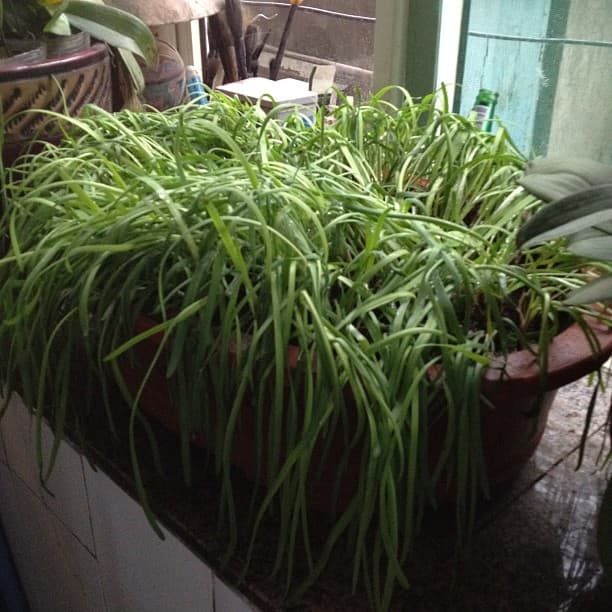 深度学习重要词汇表