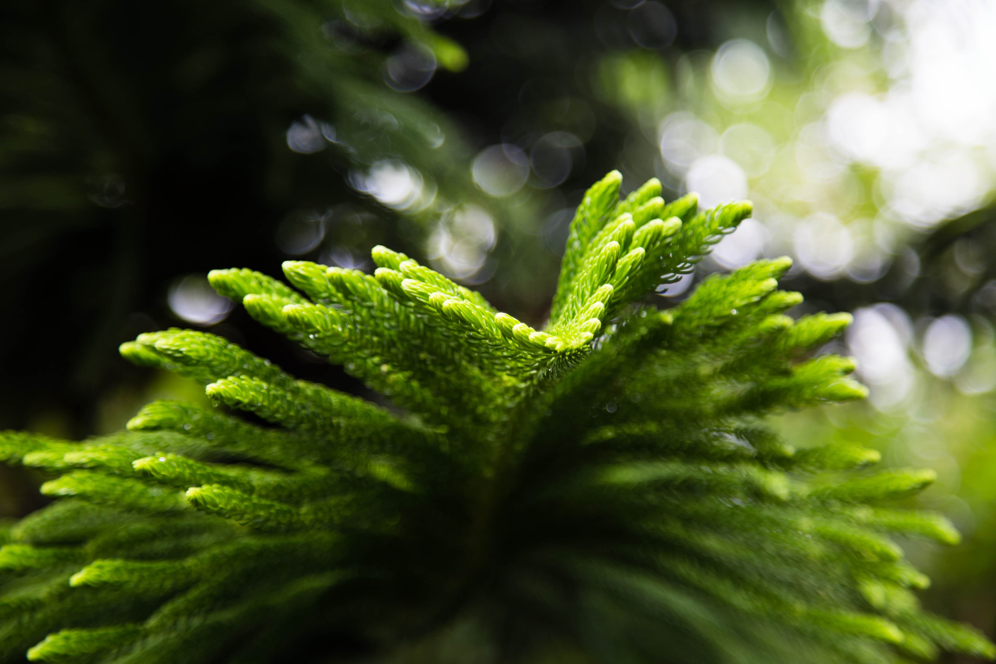 分界洲岛－海南