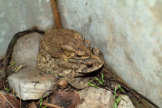 答辩顺利结束-毕业啦~ - 20040330_03