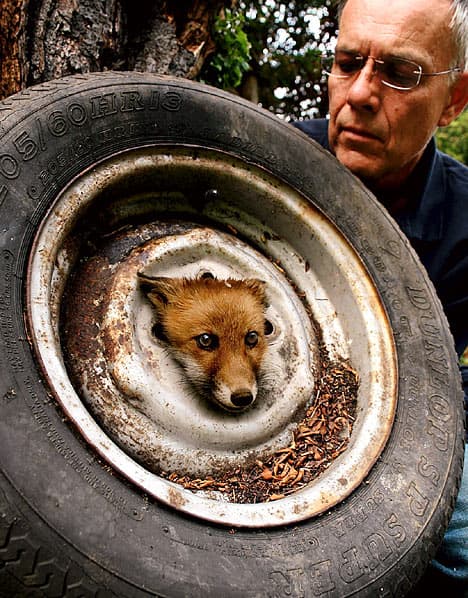 答辩顺利结束-毕业啦~ - petsintrouble005