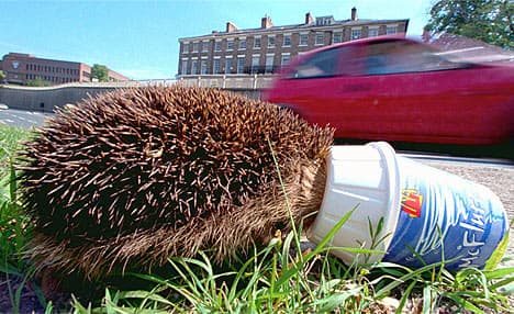 答辩顺利结束-毕业啦~ - petsintrouble006